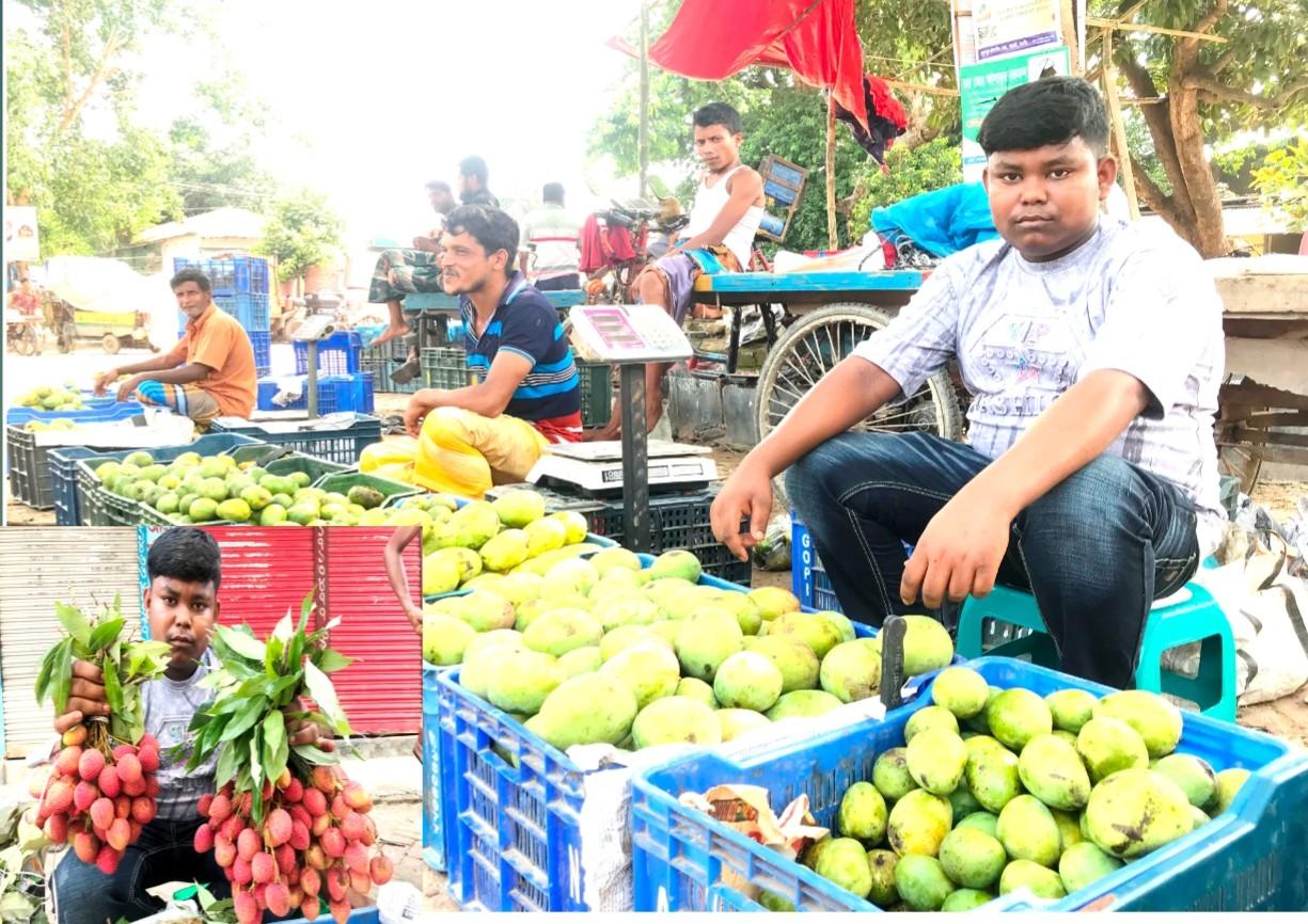 আত্রাইয়ে গ্রীষ্মের প্রকৃতি জুড়ে চলছে মধুমাস জ্যৈষ্ঠের রাজত্ব