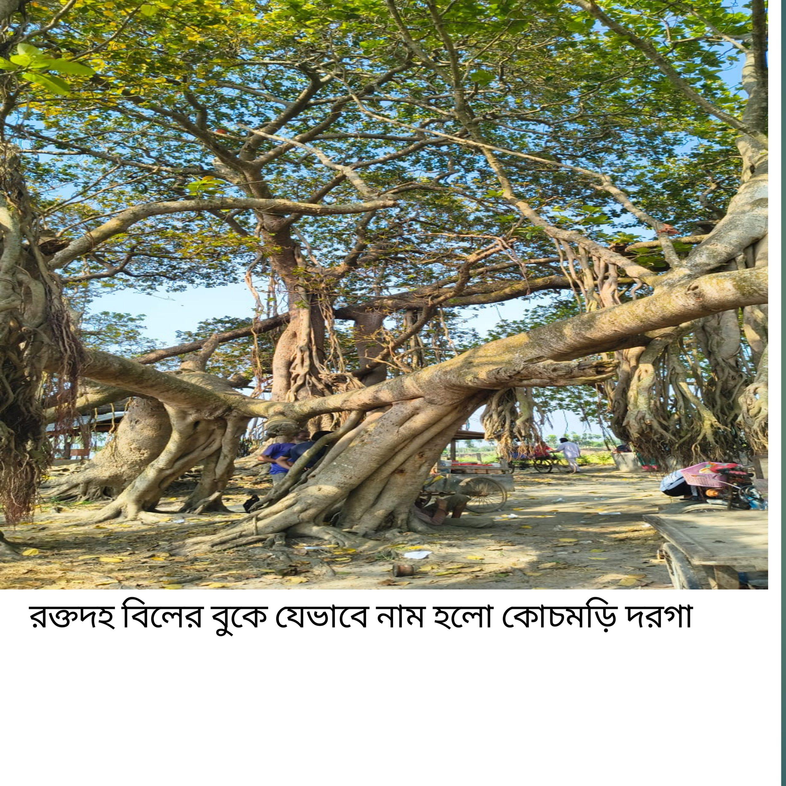 রক্তদহ বিলের বুকে যেভাবে নামকরণ হলো কোচমড়ি দরগা