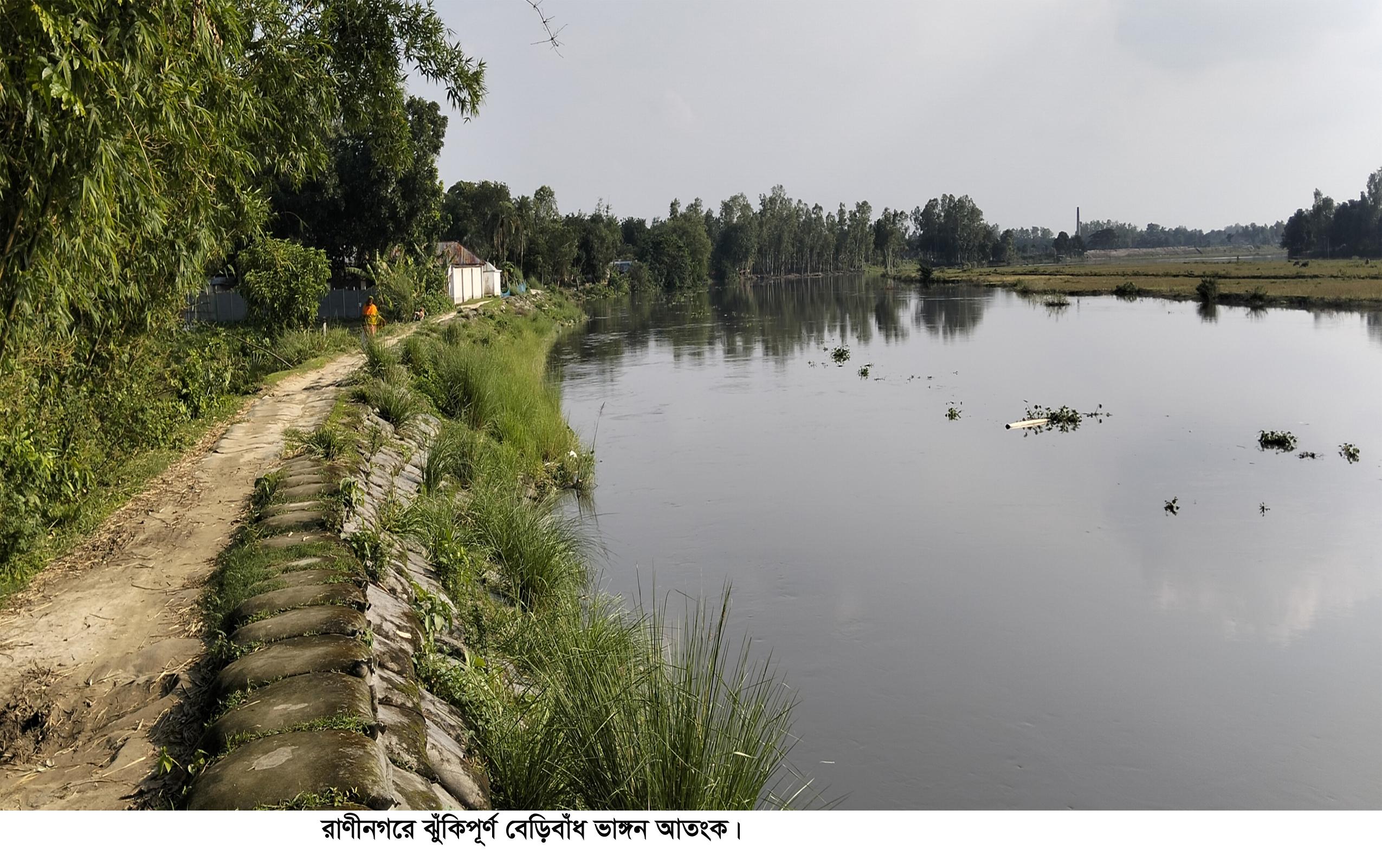 রাণীনগরে ঝুঁকিপূর্ণ বেড়িবাঁধ: যেকোনো সময় ভাঙনের শঙ্কায় নির্ঘুম  হাজারো মানুষের
