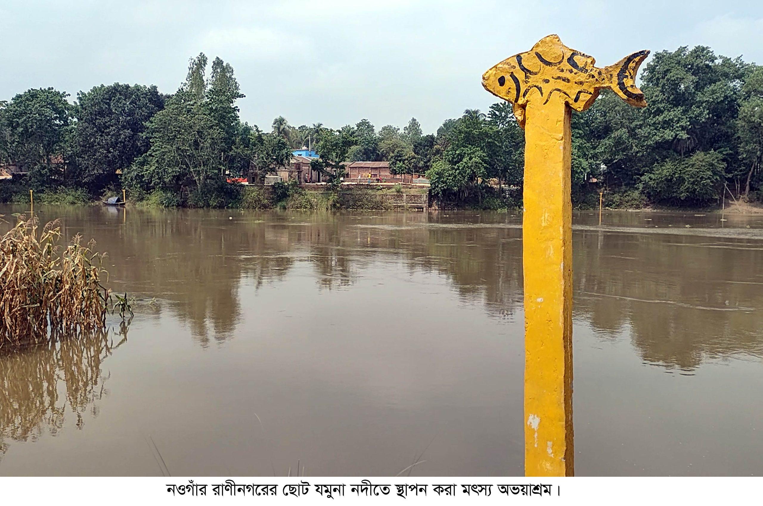 ​রাণীনগরে বাড়ছে মৎস্য অভয়াশ্রম রক্ষা পাচ্ছে দেশীয় প্রজাতির মাছ